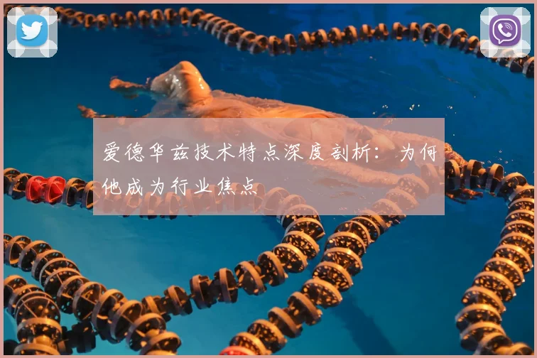 爱德华兹技术特点深度剖析：为何他成为行业焦点